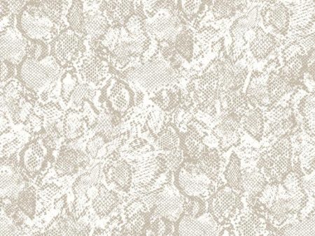 Serpentine  Wallpaper by Wallshoppe - Tea Supply