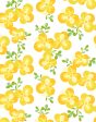 Graphic Flower  Wallpaper by Tea Collection - Daffodil For Sale