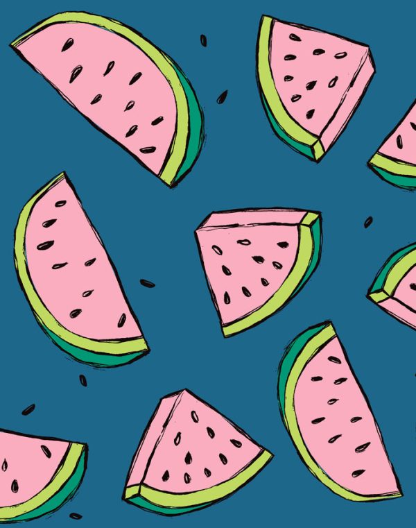 Watermelon  Wallpaper by Tea Collection - Cadet Blue Online now