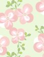 Graphic Flower  Wallpaper by Tea Collection - Pistachio Online