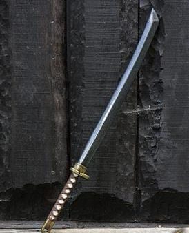 Dai Katana Softcombat 105 cm 402085 For Cheap